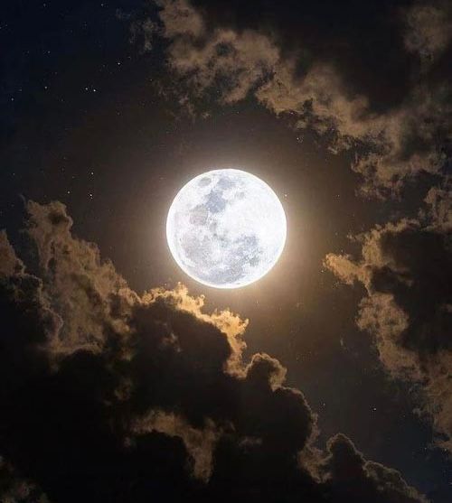 نمونه شماره2